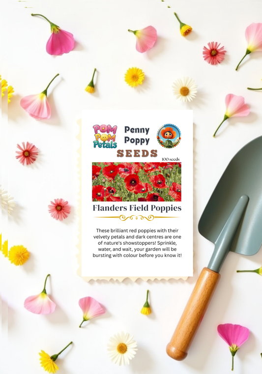 Penny Poppy Flanders Field Poppy Seeds | Kids Garden Seeds | Pom Pom Petals | 100 Seeds